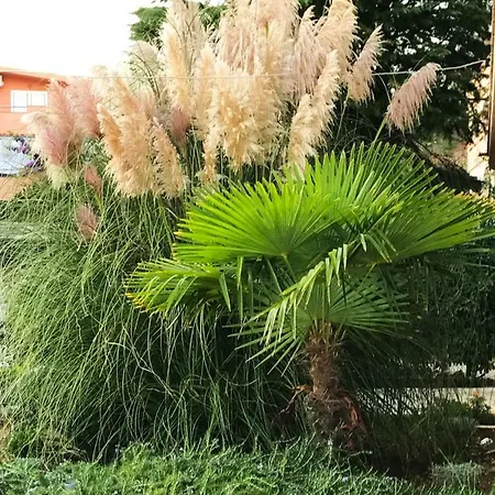 House Barbara 2 * Kornić