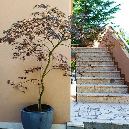 House Barbara 2 Lejlighed *