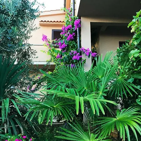 House Barbara 2 *