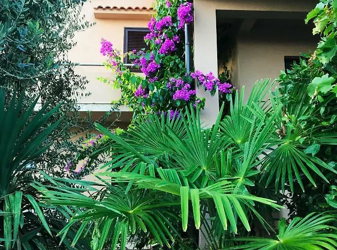 House Barbara 2 *