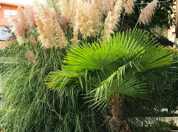 House Barbara 2 * Kornić